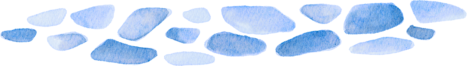 section divider